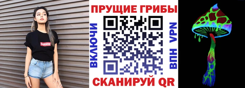 МЕГА как зайти  Камешково  Псилоцибиновые грибы Magic Shrooms 