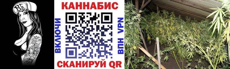 Каннабис LSD WEED  наркошоп  Камешково 